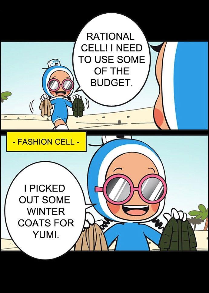 Fashion Cell